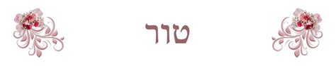 Image result for Torah Commentary