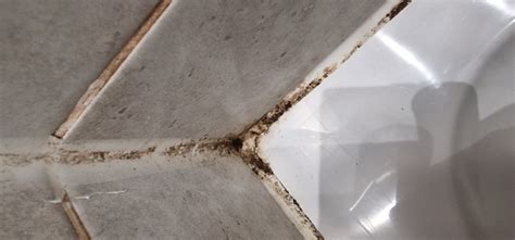 THE WAVERLEY INN (Dingwall) - Hotel Reviews, Photos, Rate Comparison ...