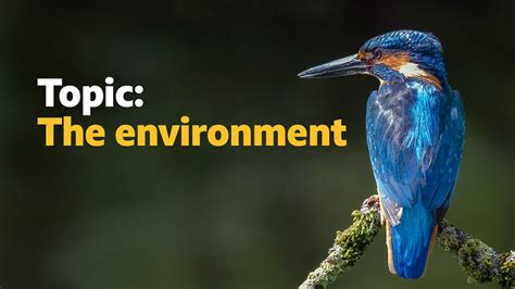 Image result for Learning English Topic