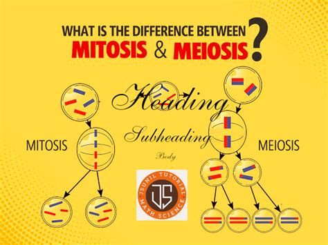 Mitosis vs Meiosis class 9 Chapter Cell (Biology, Science)