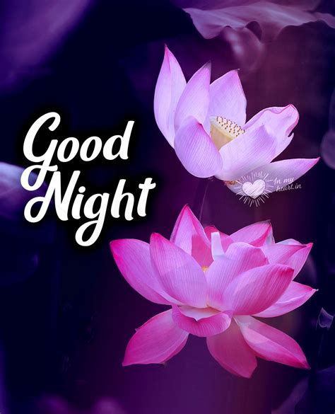 Incredible Compilation of Flower Good Night Images - Over 999+ Images ...