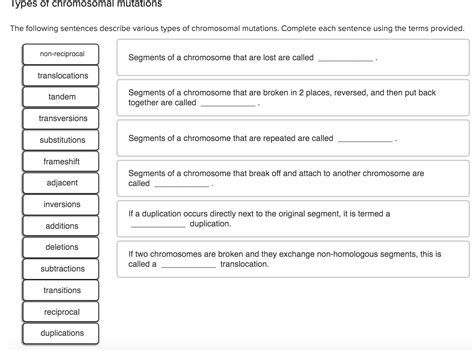 Chromosome In Sentence