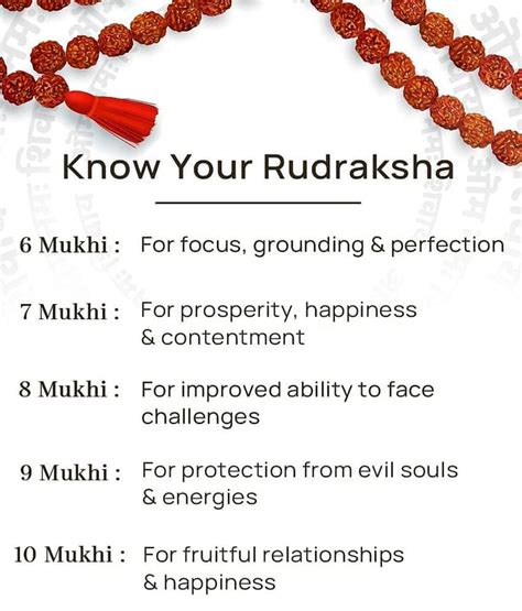 Astrodidi 6 Mukhi Rudraksha Pendant With Lab Certificate