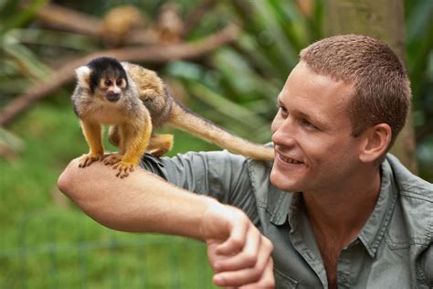 What Is The Best Monkey For A Pet at Alan Padilla blog
