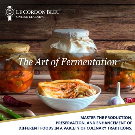 The Art of Fermentation