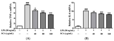 Scandoside Exerts Anti-Inflammatory Effect Via Suppressing NF-κB and ...
