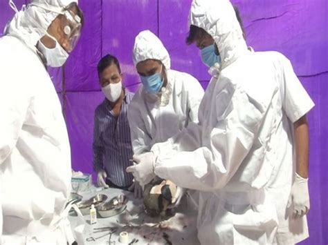 Vadodara sets up facility for birds injured by kite string