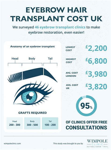 Eyebrow Transplant Cost UK | Wimpole Clinic