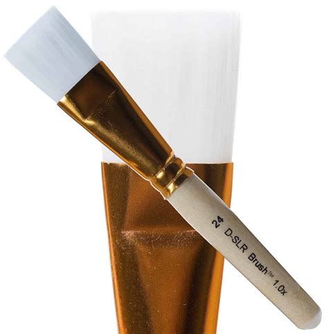 Image result for How to Clean a Camera Sensor