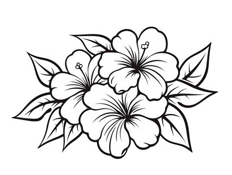 Hawaiian Floral Drawing To Color | Hibiscus flower drawing, Hawaiian ...