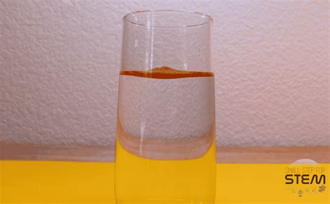 Cinnamon's Science Surprise: A surface tension experiment