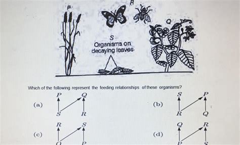 The diagram shows the organisms in a habitat: Organisms on decaying ...