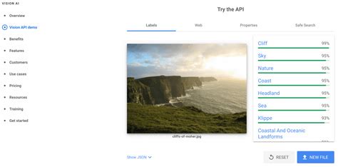 Image result for Vision API Logo