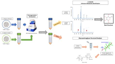 Image result for Metabolomics Tutorial