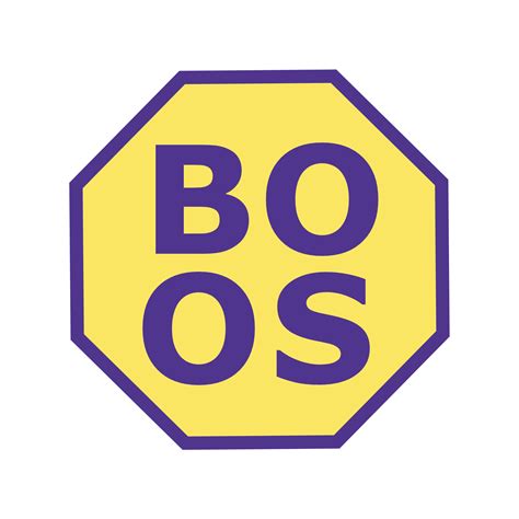 Image result for Boos Operating System