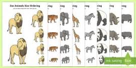 Zoo Animals I Spy Activity (teacher made)