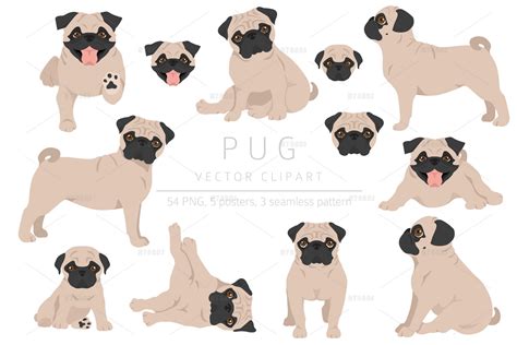 Pug clipart (1336846)