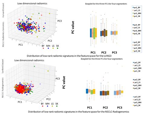 Impact of Interobserver Variability in Manual Segmentation of Non-Small ...