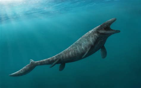 Image result for Mosasaurus