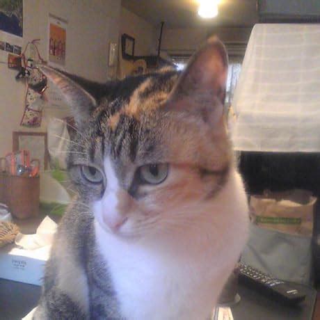 Buy Bayesian Data Analysis (Chapman & Hall/CRC Texts in Statistical ...