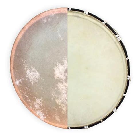 Shamanic Drums: Cow Hide vs Goatskin