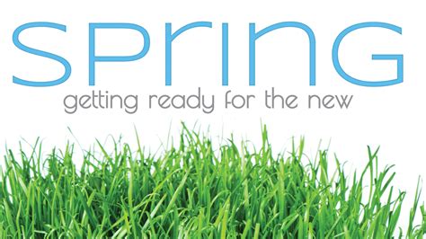 This Spring 的图像结果