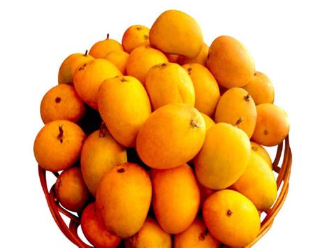 Ratnagiri Alphonso Mango (GI Tagged) - Buy Farm Fresh Online ...
