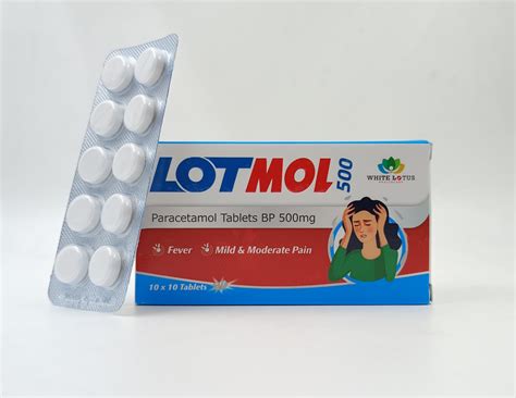 Paracetamol Tablets 500mg -WHITE LOTUS HEALTHCARE, Surat