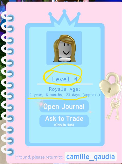 Image result for Royale High Level Script