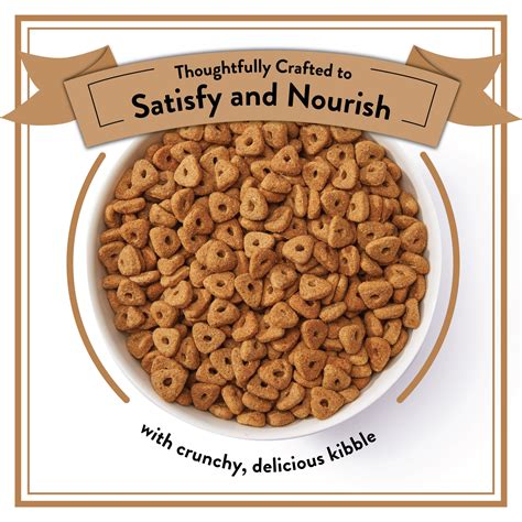 NUTRO ULTRA Senior High Protein Natural Dry Dog Food with a Trio of ...