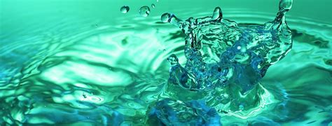 Basic Hydroponics for Beginners 的图像结果