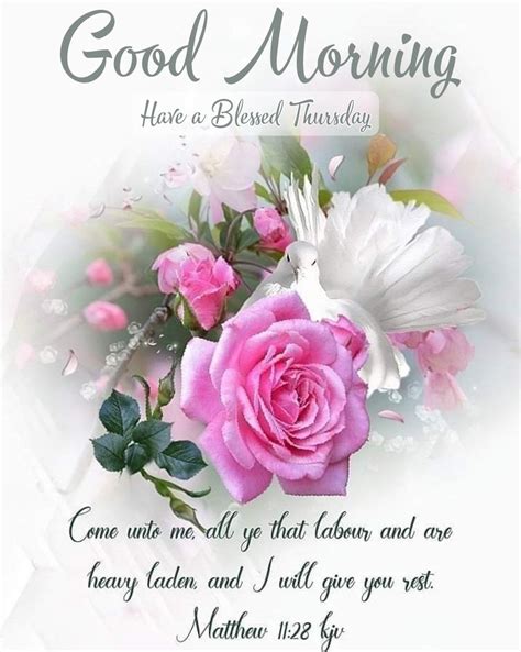 Good Morning: Have A Blessed Thursday Pictures, Photos, and Images for ...