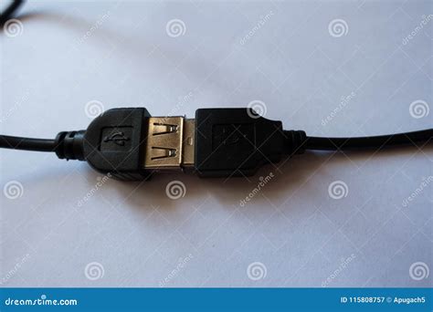 Connected Male and Female USB Connectors Stock Image - Image of extension, object: 115808757