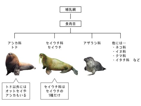 Image result for Methods of Array