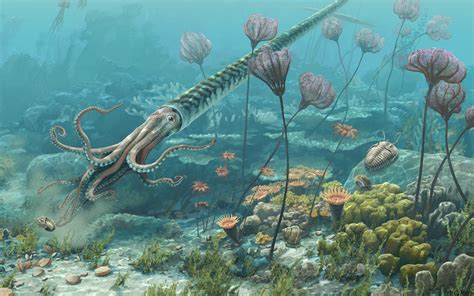 Ordovician Period Animals