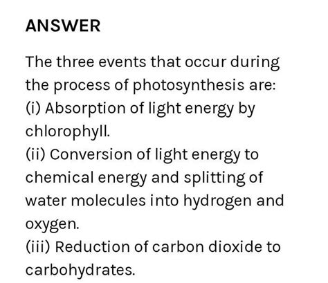 Write the events that occur in the chloroplasts during photosynthesis ...