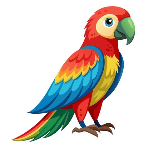 Parrot Vectors - Download Free High-Quality Vectors from Freepik | Freepik