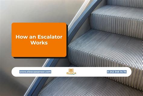 How an Escalator Works | Elesca Elevator and Escalator Systems