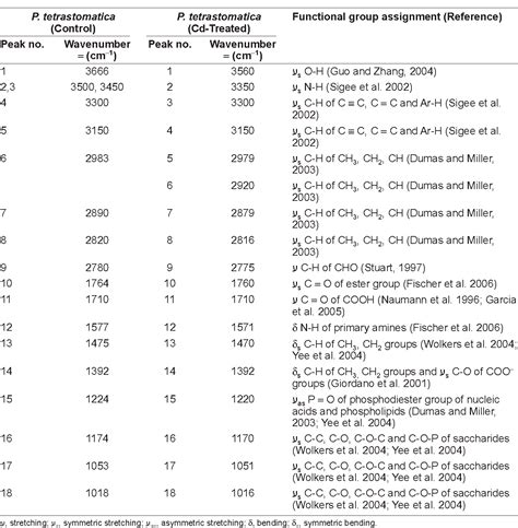 Infrared Spectroscopy Table | Decoration Examples