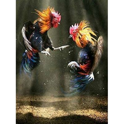 CHENJUAN Retro Two Roosters Fighting Chicken Art India | Ubuy