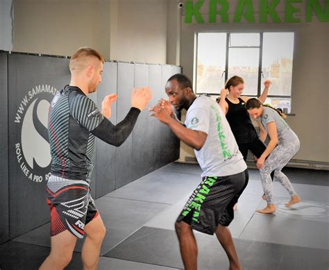 MMA Beginner's Guide 的图像结果