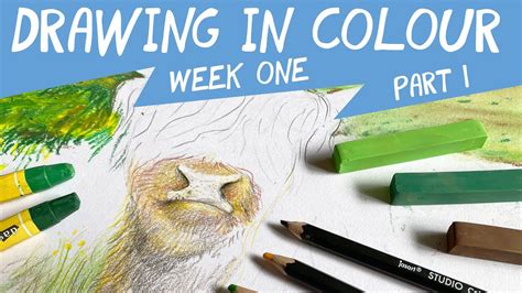Tutorial Coler Draw 的图像结果