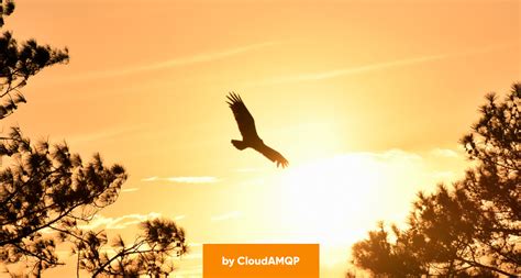 Image result for Coralogix Log Query Example