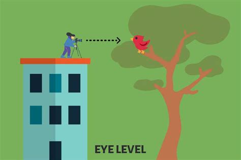 Image result for Eye Level Notes