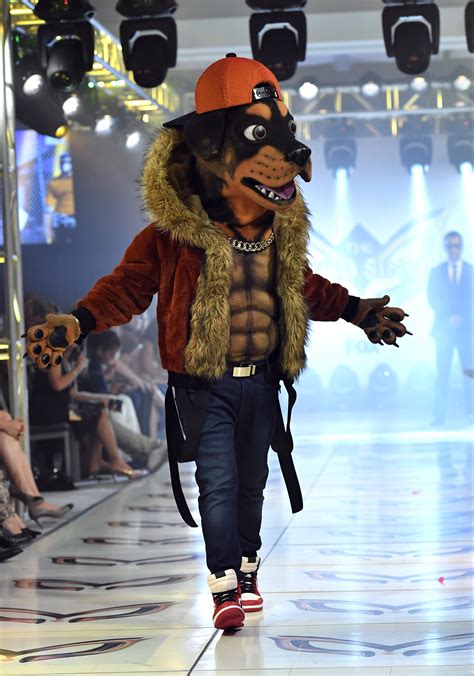 Image result for Masked Singer Frog