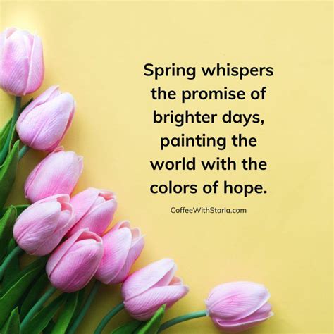 Image result for Reflection Prayer for Spring