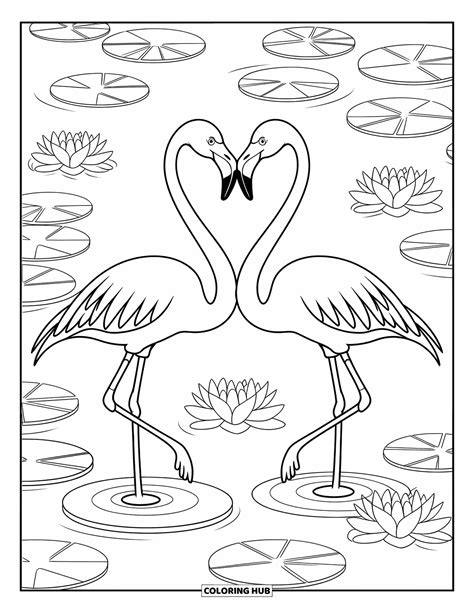 210+ Flamingo Coloring Pages for Kids & Adults (Free Printable PDFs)