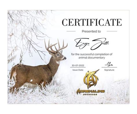 Entry #170 by thedesignmedia for Award certificate border using ...