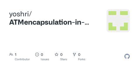 Encapsulation Java ATM 的图像结果
