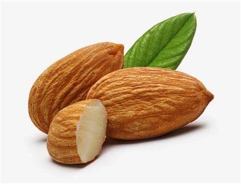 manfaat kacang almond untuk tubuh